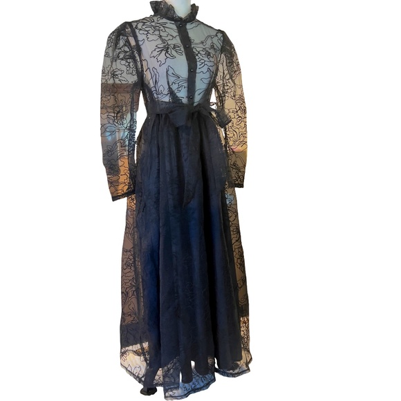 # A282  N By Nancy  Gothic Elegance  Evening Chic  Black  Sheer Dress NWT M - Picture 1 of 8